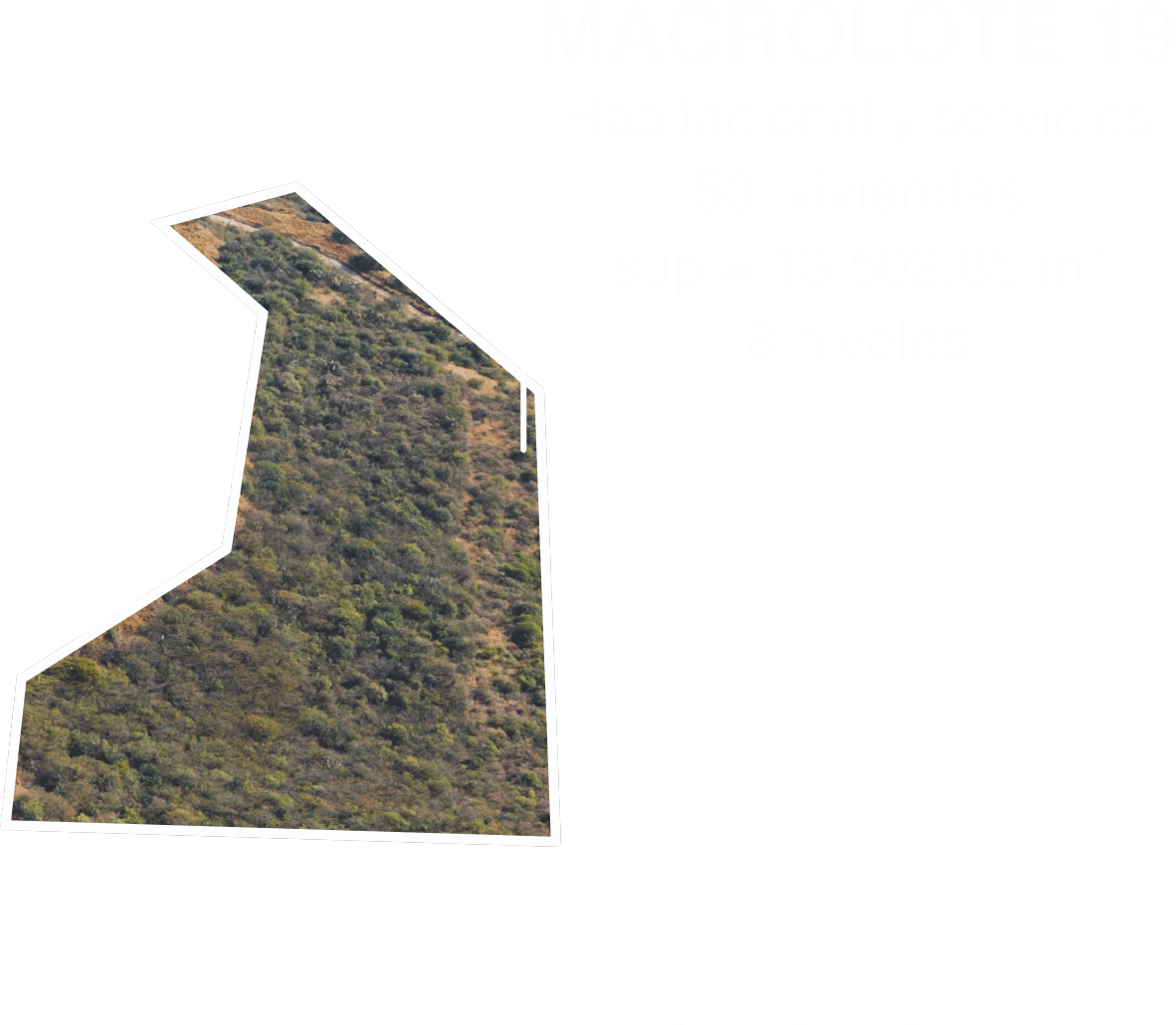 Macrolote 19 en Cañadas del Lago